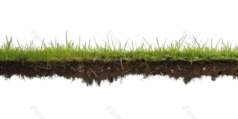 摄影图片,草坪元素,白色背景PNG,自然免抠素材